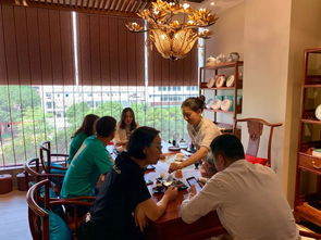 燕語茶館品鑒中心試業 以茶會友，共赴一場東方美學的時光之約