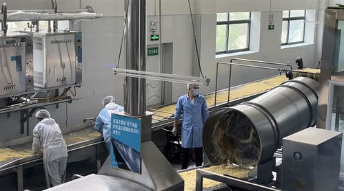 從甜茶館商標注冊看拉薩服務創新與監管協同